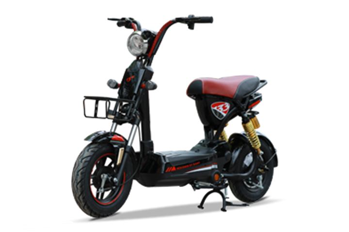 Xe đạp điện bò điên - mẫu xe “chất